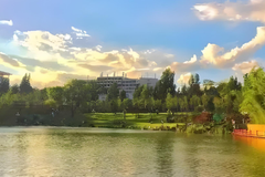 西南林业大学(中外合作)近三年在安徽录取分数线(含2021-2023最低分)