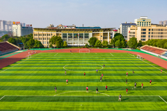 辽宁特殊教育师范高等专科学校近三年在安徽录取分数线(含2021-2023最低分)
