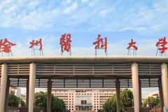 2024徐州医科大学排名-最新全国排名第247位