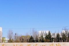 聊城职业技术学院近三年在安徽录取分数线(含2021-2023最低分)