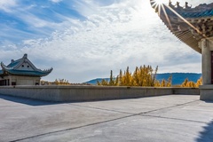 北京科技大学天津学院近三年在河南录取分数线(含2021-2023最低分)