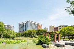 沈阳农业大学近三年在河南录取分数线(含2021-2023最低分)