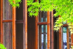 2024年广西经济职业学院在广东计划招生人数（附学费及专业录取分）