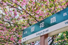 铜仁幼儿师范高等专科学校近三年在安徽录取分数线(含2021-2023最低分)