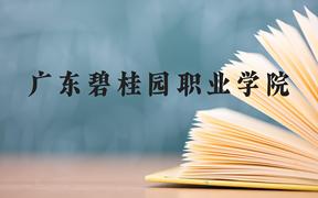 广东碧桂园职业学院近三年在广西录取分数线(含2021-2023最低分)