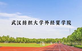 武汉纺织大学外经贸学院近三年在广西录取分数线(含2021-2023最低分)