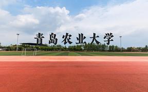 青岛农业大学近三年在广西录取分数线(含2021-2023最低分)