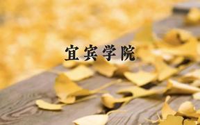 宜宾学院近三年在广西录取分数线(含2021-2023最低分)