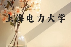 上海电力大学近三年在云南录取分数线(含2021-2023最低分)