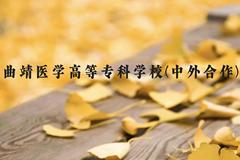 曲靖医学高等专科学校(中外合作)近三年在云南录取分数线(含2021-2023最低分)