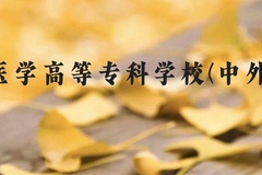 曲靖医学高等专科学校(中外合作)近三年在云南录取分数线(含2021-2023最低分)