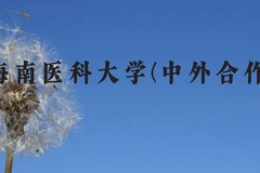海南医科大学(中外合作)近三年在云南录取分数线(含2021-2023最低分)