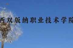 西双版纳职业技术学院近三年在云南录取分数线(含2021-2023最低分)