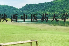 陕西中医药大学近三年在云南录取分数线(含2021-2023最低分)
