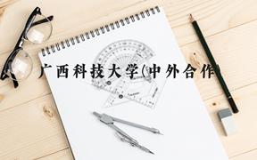 广西科技大学(中外合作)近三年在广西录取分数线(含2021-2023最低分)