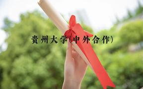 贵州大学(中外合作)近三年在贵州录取分数线(含2021-2023最低分)