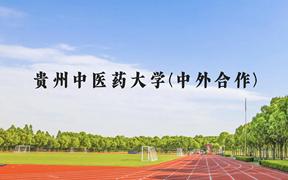 贵州中医药大学(中外合作)近三年在贵州录取分数线(含2021-2023最低分)