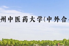 贵州中医药大学(中外合作)近三年在贵州录取分数线(含2021-2023最低分)