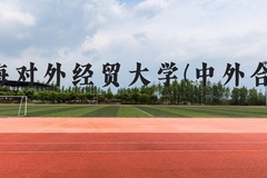 上海对外经贸大学(中外合作)近三年在云南录取分数线(含2021-2023最低分)