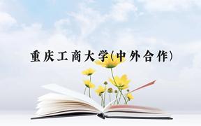 重庆工商大学(中外合作)近三年在广西录取分数线(含2021-2023最低分)