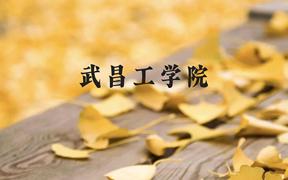 武昌工学院近三年在广西录取分数线(含2021-2023最低分)