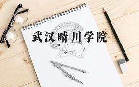 武汉晴川学院近三年在广西录取分数线(含2021-2023最低分)