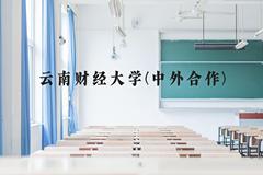 云南财经大学(中外合作)近三年在云南录取分数线(含2021-2023最低分)