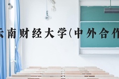 云南财经大学(中外合作)近三年在云南录取分数线(含2021-2023最低分)