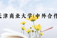 天津商业大学(中外合作)近三年在贵州录取分数线(含2021-2023最低分)