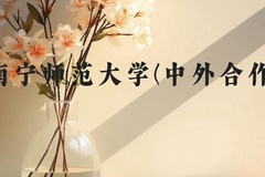 南宁师范大学(中外合作)近三年在广西录取分数线(含2021-2023最低分)