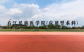 右江民族医学院(应用型本科)近三年在广西录取分数线(含2021-2023最低分)