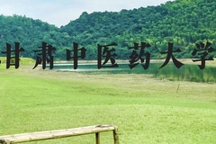 甘肃中医药大学近三年在贵州录取分数线(含2021-2023最低分)