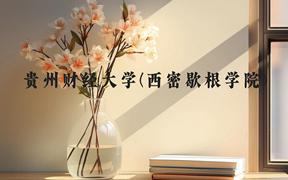 贵州财经大学(西密歇根学院)近三年在贵州录取分数线(含2021-2023最低分)