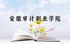 安徽审计职业学院近三年在广西录取分数线(含2021-2023最低分)