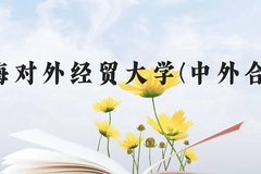 上海对外经贸大学(中外合作)近三年在广西录取分数线(含2021-2023最低分)