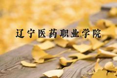 辽宁医药职业学院近三年在云南录取分数线(含2021-2023最低分)