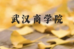 武汉商学院近三年在云南录取分数线(含2021-2023最低分)