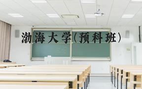 渤海大学(预科班)近三年在贵州录取分数线(含2021-2023最低分)