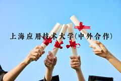 上海应用技术大学(中外合作)近三年在贵州录取分数线(含2021-2023最低分)