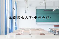 云南农业大学(中外合作)近三年在云南录取分数线(含2021-2023最低分)