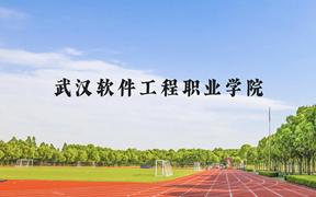 武汉软件工程职业学院近三年在广西录取分数线(含2021-2023最低分)