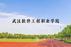 武汉软件工程职业学院近三年在广西录取分数线(含2021-2023最低分)