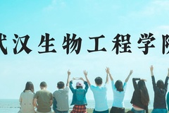 武汉生物工程学院近三年在广西录取分数线(含2021-2023最低分)