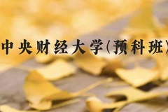 中央财经大学(预科班)近三年在贵州录取分数线(含2021-2023最低分)