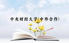 中央财经大学(中外合作)近三年在广西录取分数线(含2021-2023最低分)