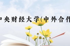 中央财经大学(中外合作)近三年在广西录取分数线(含2021-2023最低分)