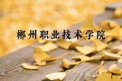 郴州职业技术学院近三年在贵州录取分数线(含2021-2023最低分)