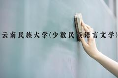 云南民族大学(少数民族语言文学)近三年在云南录取分数线(含2021-2023最低分)