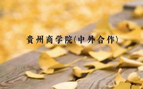 贵州商学院(中外合作)近三年在广西录取分数线(含2021-2023最低分)