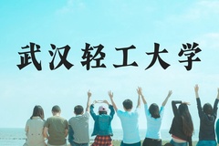武汉轻工大学近三年在云南录取分数线(含2021-2023最低分)